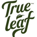 True Leaf Launches New CBD Chews for the U.S. Pet Health Market True Leaf-logo-CBD-CBDToday