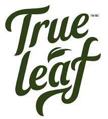 True Leaf-logo-CBD-CBDToday
