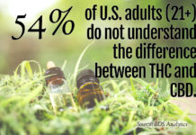 Industry Insights and CBD Statistics for September 2019 CBD Statistics-1-September 2019-CBDToday