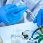 U.S. Governmental Agency Awards $3 Million in CBD Research Grants Federal-CBD Research-CBDToday