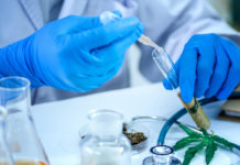 U.S. Governmental Agency Awards $3 Million in CBD Research Grants Federal-CBD Research-CBDToday