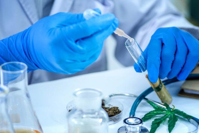 Federal-CBD Research-CBDToday