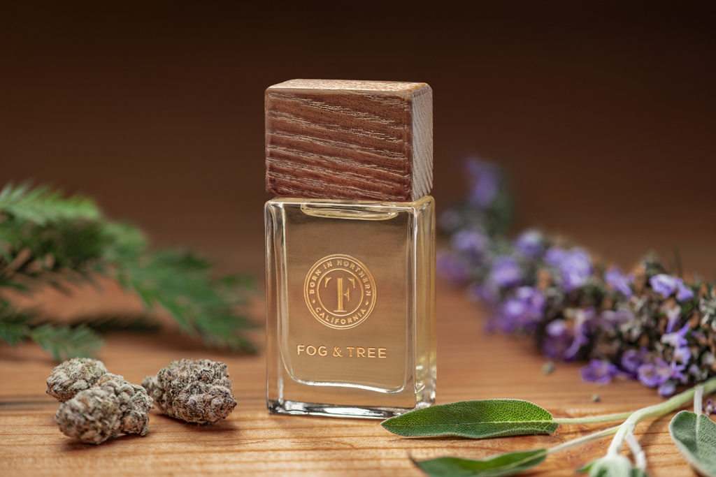 Fog & Tree Eau de Parfum-CBDToday