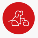 LinkResPet Launches Pet CBD Water on Singleseed.Com Linkrespet-logo-CBD-CBDToday