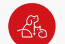 LinkResPet Launches Pet CBD Water on Singleseed.Com Linkrespet-logo-CBD-CBDToday