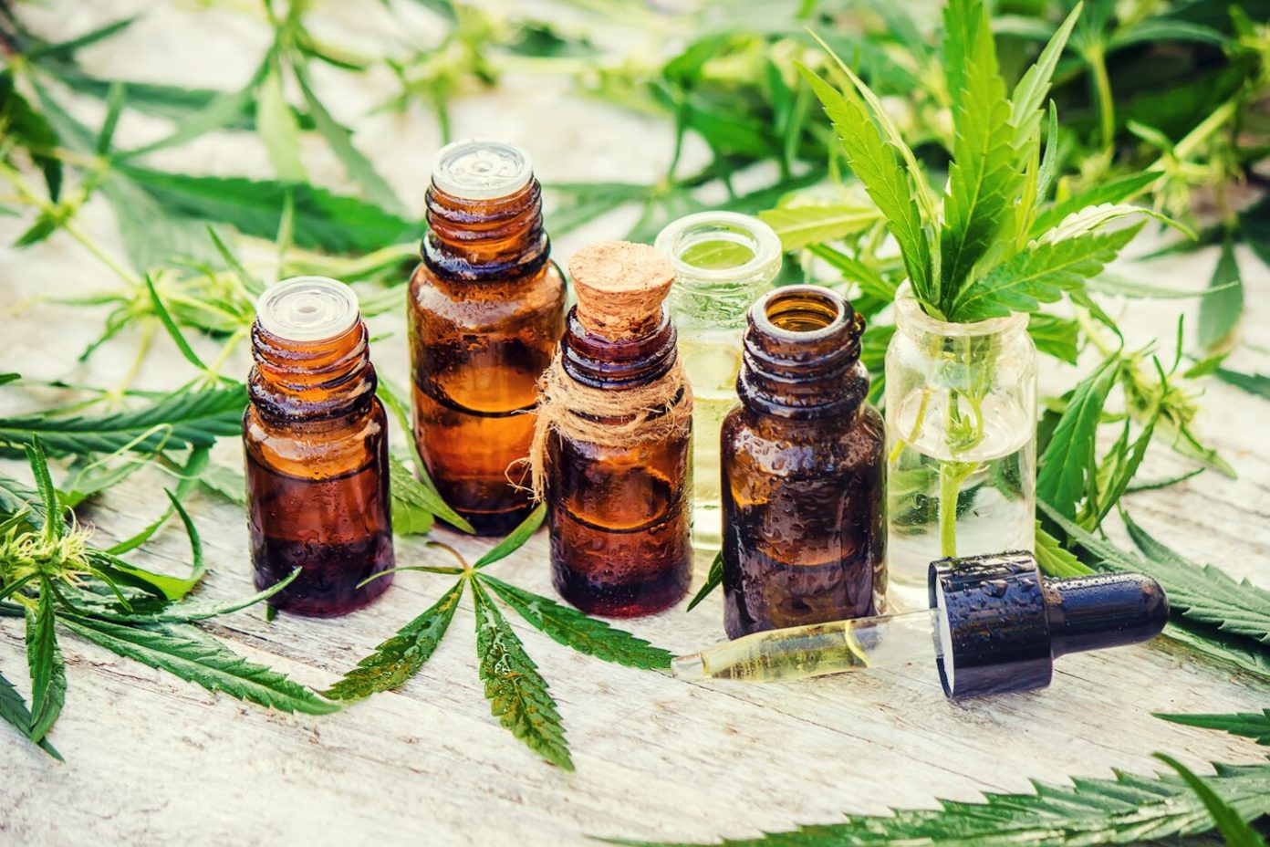 The ABCs of CBD Lab Testing