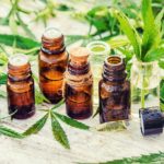 The ABCs of CBD Lab Testing Tatevosian Yana-CBD Lab Testing-CBDToday