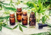 The ABCs of CBD Lab Testing Tatevosian Yana-CBD Lab Testing-CBDToday