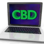 Report Says CBD Google Searches Hit New High in 2019 CBD Google searches-JAMA-study-cbdtoday