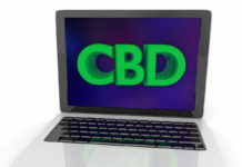 Report Says CBD Google Searches Hit New High in 2019 CBD Google searches-JAMA-study-cbdtoday