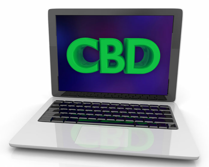 CBD Google searches-JAMA-study-cbdtoday