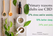 Industry Insights and CBD Statistics for October 2019 CBD Statistics-1-October 2019-CBDToday