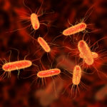 CBD Study Finds Cannabidiol May Increase the Effectiveness of Antibiotics CBD Study-Antibiotics-CBD News-CBDToday