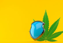 CannaInsider Launches CBD Badge Program to Ensure Product Safety CannaInsider-CBD_Badge_Program_CBDToday