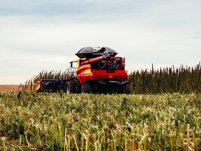 USDA-Hemp Farming-Regulations-CBD News-CBDToday