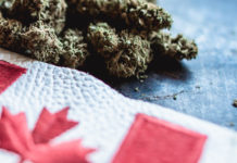 Canada’s Canopy Growth to Enter U.S. Market with New Line of CBD Products Canopy_Growth_CBD products_United_States_CBDToday