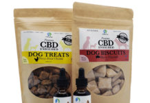 New Coastal Launches CBD Pet Care Line New Coastal CBD pet care gift set small dogs CBD Today