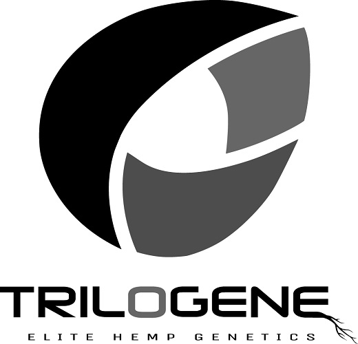 Trilogene Seeds-Smoking Icons-logo-CBD-CBDToday