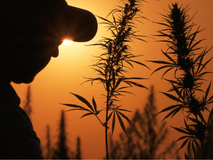 USDA-Hemp Production-CBD News-CBDToday