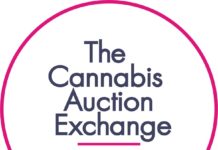 New York State’s First Cannabis Auction cannabis auction exchange-logo-CBD-CBDToday