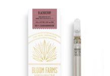 Bloom Farms CBD Mini Vapor Pen Bloom Farms-blackberry-CBD mini-vape-CBDToday