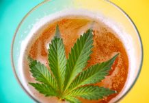 Grand View Research Report Predicts Bright Future for Infused Beverages Infused Beverages-Market Report-CBD-CBDToday
