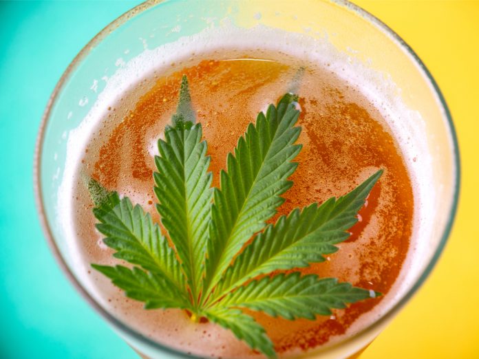 Infused Beverages-Market Report-CBD-CBDToday