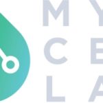 My CBD Lab Partners with E2 Labs to Build State-of-the-Art Distillation Rig My CBD Lab-logo-CBD-CBDToday
