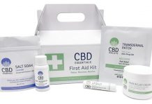 Cannaisseur CBD Essentials First Aid Kit Cannaisseur CBD Essentials First Aid Kit Deluxe-CBD products-CBDToday