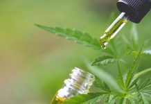 FDA Seeking Additional $5 Million for CBD Regulation FDA_CBD_Funding_CBDToday