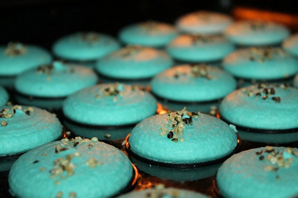 Organic Livity-French Macaron-CBD products-CBDToday