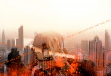 CBD and Coronavirus: Marketing Best Practices in a Time of Crisis CBD and Coronavirus-Judy Campbell-Campbell Consulting-CBDToday