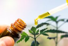 Coronavirus Con Artists: Scammers are Using CBD For Pandemic Profiting CBD_Scams_Coronavirus_CBDToday