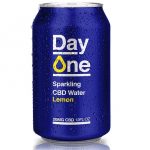 Day One Adds Two New Fruit-Infused Flavors to Product Lineup Day One-CBD Product-CBDToday