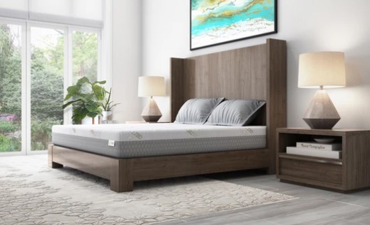 ZBD Bed-CBD products-CBDToday