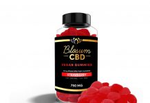BlosumCBD Releases Vegan-Friendly CBD Gummies BlosumCBD-Vegan-Gummies-CBD-CBDToday