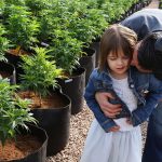 Pioneering CBD Patient Charlotte Figi Has Died; COVID-19 Suspected Charlotte Figi-Charlotte's Web-Coronavirus-CBD-CBDToday