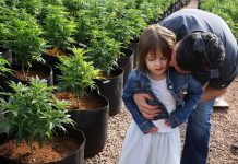 Pioneering CBD Patient Charlotte Figi Has Died; COVID-19 Suspected Charlotte Figi-Charlotte's Web-Coronavirus-CBD-CBDToday