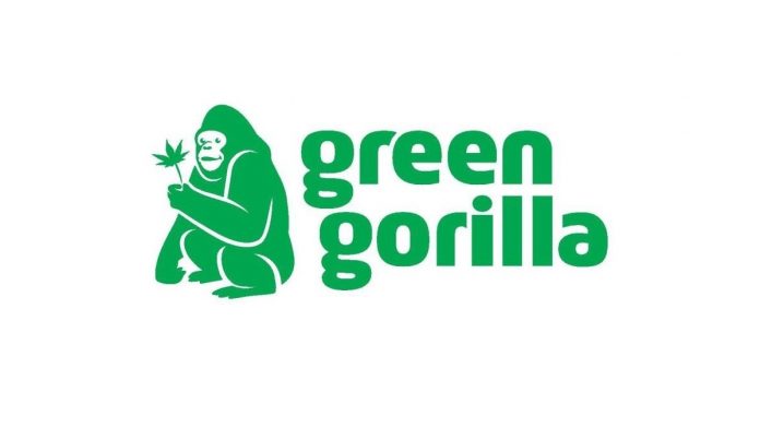 Green Gorilla-logo-CBD-CBDToday
