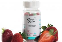 Green Lotus Premium Hemp Oil Gummies Green Lotus-Hemp Gummies-CBD products-CBDToday