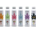 mood33 Announces Online Distribution For Hemp-Infused Herbal Teas Mood33-Hemp Infused Herbal Tea-press release-CBDToday