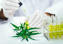 Canadian Cannabis Study Shows CBD Could Help Treat COVID-19 Pathway Rx-COVID-19-CBD study-CBDToday