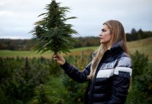 Chef Shayna Taylor Launches Bottle & Stone CBD-Based Remedies And Resources Shayna-Taylor-Launches-Bottle-Stone-CBD-products-press-release-CBDToday