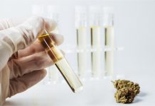 Product Recall Issued for CBD Oil Due to Lead Contamination Summit Labs CBD Oil Recall-FDA-CBD news-CBDToday