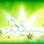 Is CBN a Sleep Panacea? Science Doesn’t Support the Myth. Is CBN a Sleep Panacea-Carolina Vasquez Mitchell-dreamt-CBD-CBDToday