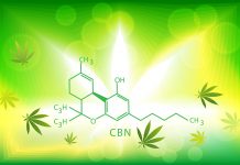 Is CBN a Sleep Panacea? Science Doesn’t Support the Myth. Is CBN a Sleep Panacea-Carolina Vasquez Mitchell-dreamt-CBD-CBDToday