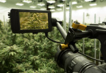 Agricultural Tech Investment Program Launches for AgTech Startup Businesses AgTech Program for Startup Businesses-CBD-CBDToday