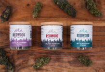 Redwood Reserves CBD Flower Redwood Reserves Hemp Flower-CBD products-CBDToday