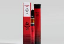 22Red Hemp Oil Disposable Vapes 22Red Hemp Oil Disposable Vapes-CBD products-CBDToday