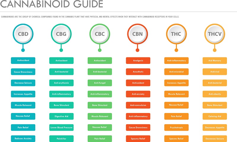 Goat-Grass-CBD-chart-CBDToday